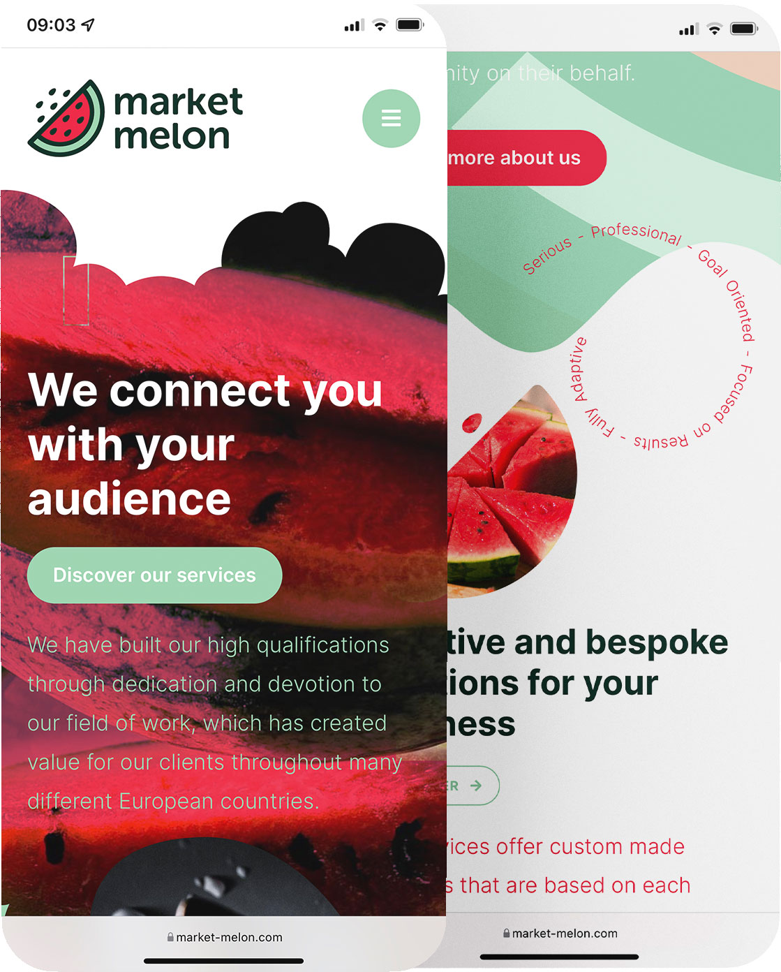 responsive-market-melon-creare-site-jpg